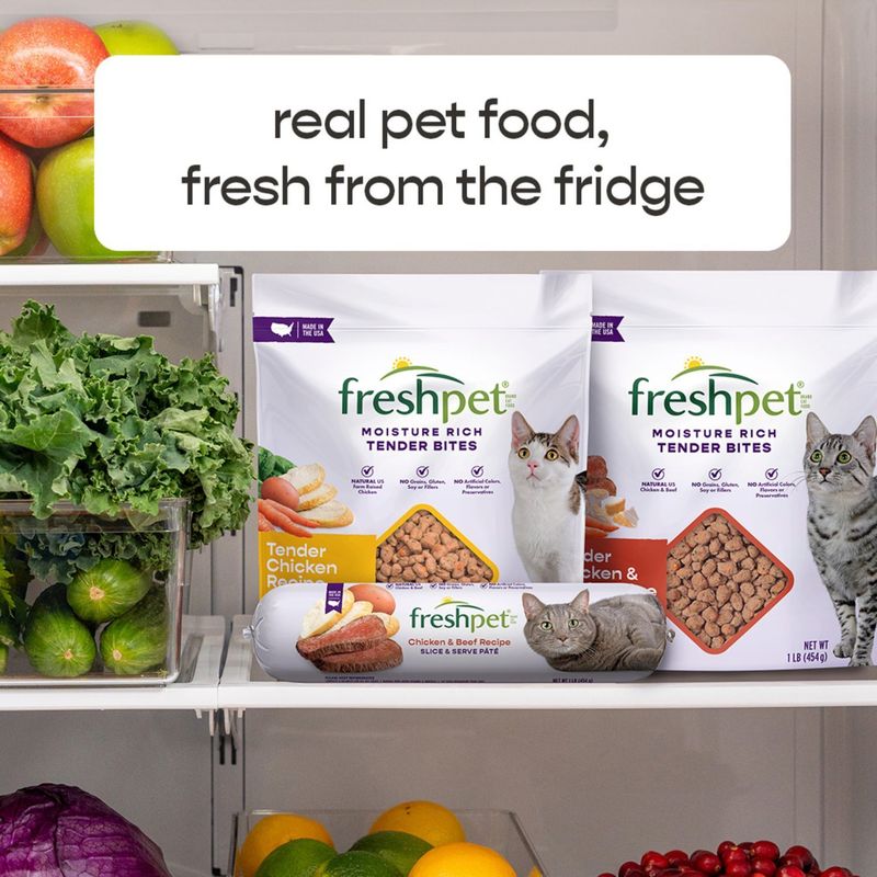 Freshpet Moisture Rich Tender Bites Chicken Recipe with Garden Vegetables Cat Food, 1 lb