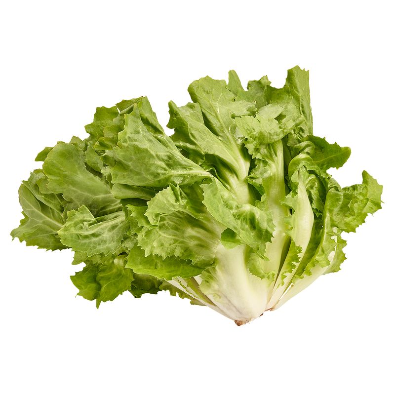 Fresh Escarole, each