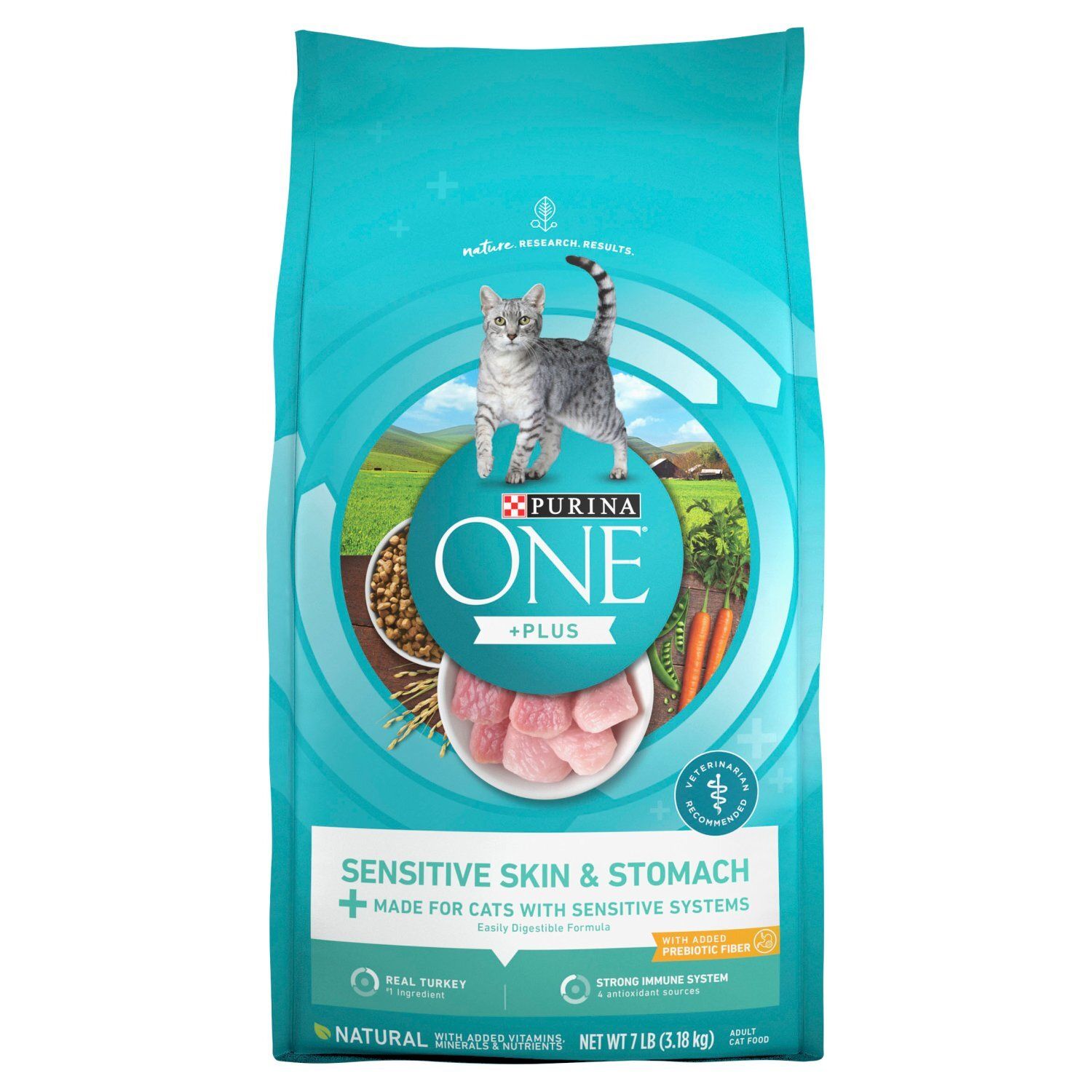Purina ONE + Plus Sensitive Skin &amp; Stomach Adult Cat Food, 7 lb