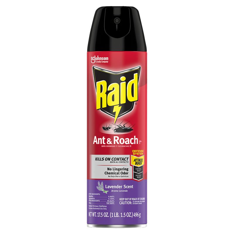 Raid Ant &amp; Roach Killer 26, Indoor and Outdoor Insecticide Spray, Lavender Scent, 17.5 oz