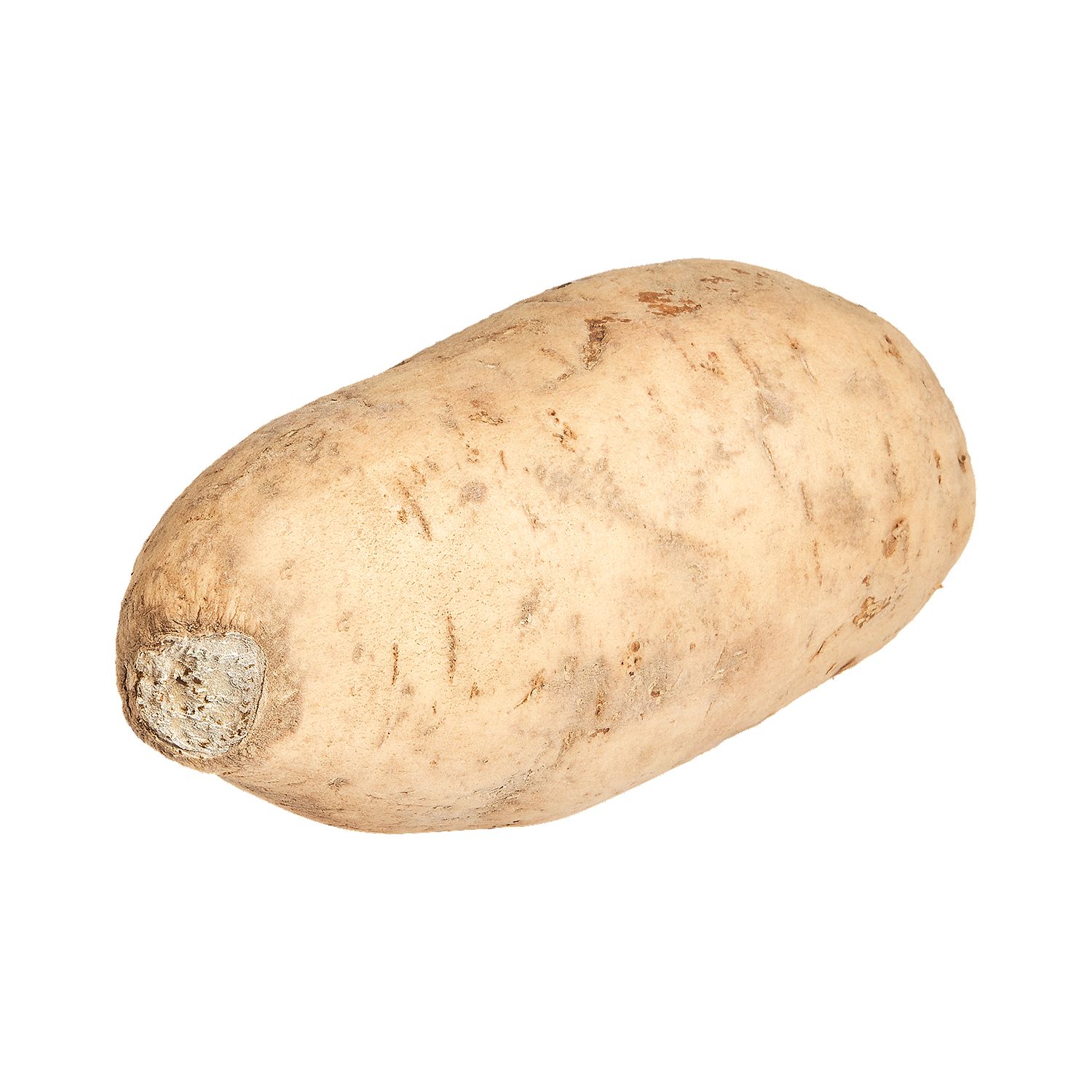 Fresh White Sweet Potato