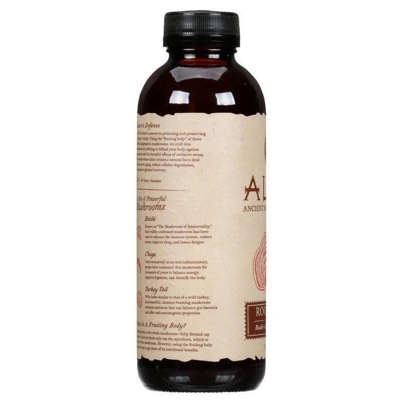 GT's Alive Root Beer Ancient Mushroom Elixir, 16 fl oz
