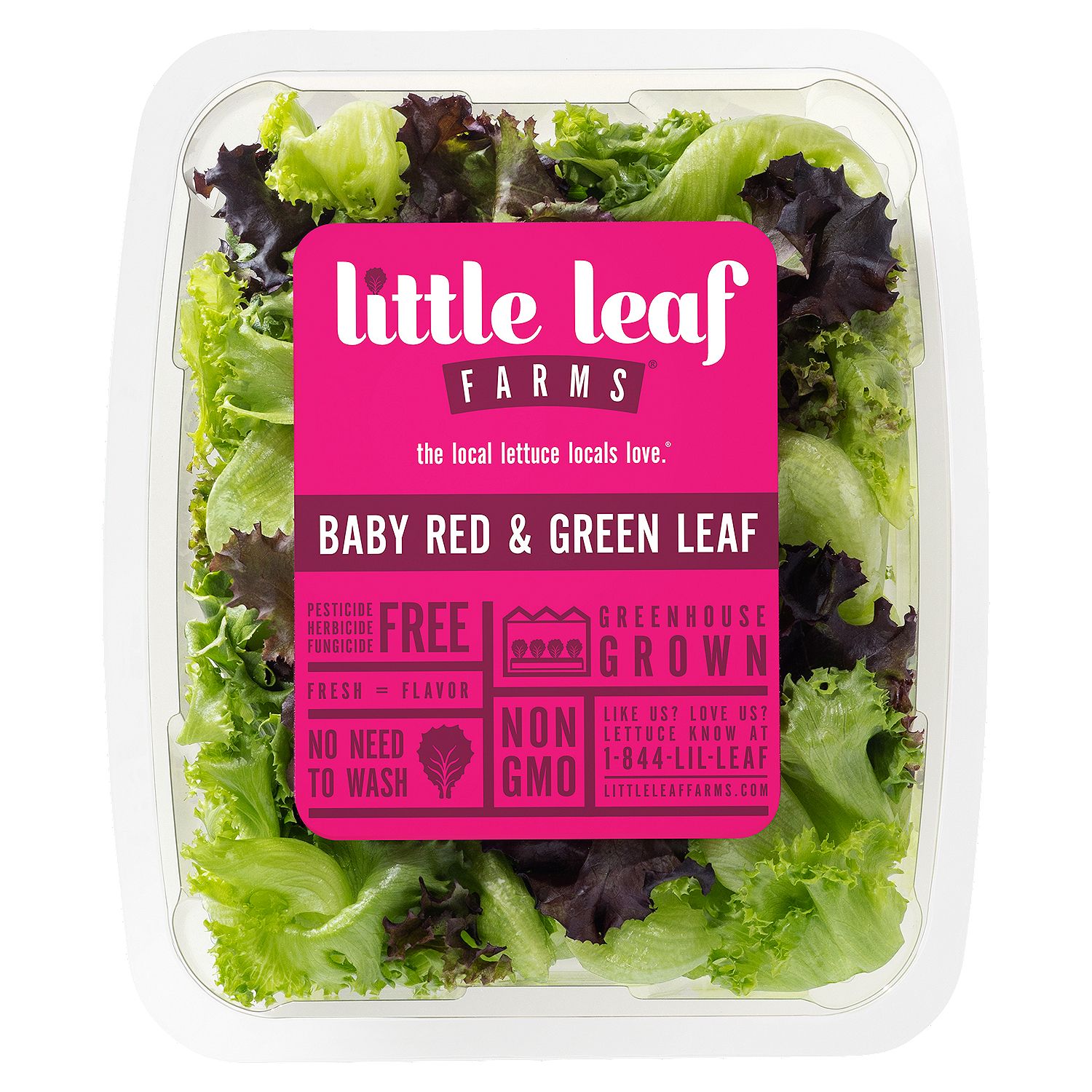 Little Leaf Farms Baby Red &amp; Green Leaf, 4 oz