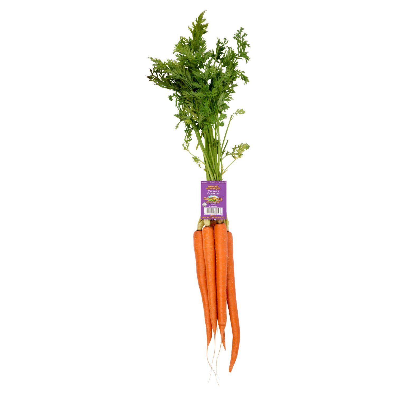 Fresh Organic Carrots, bunch