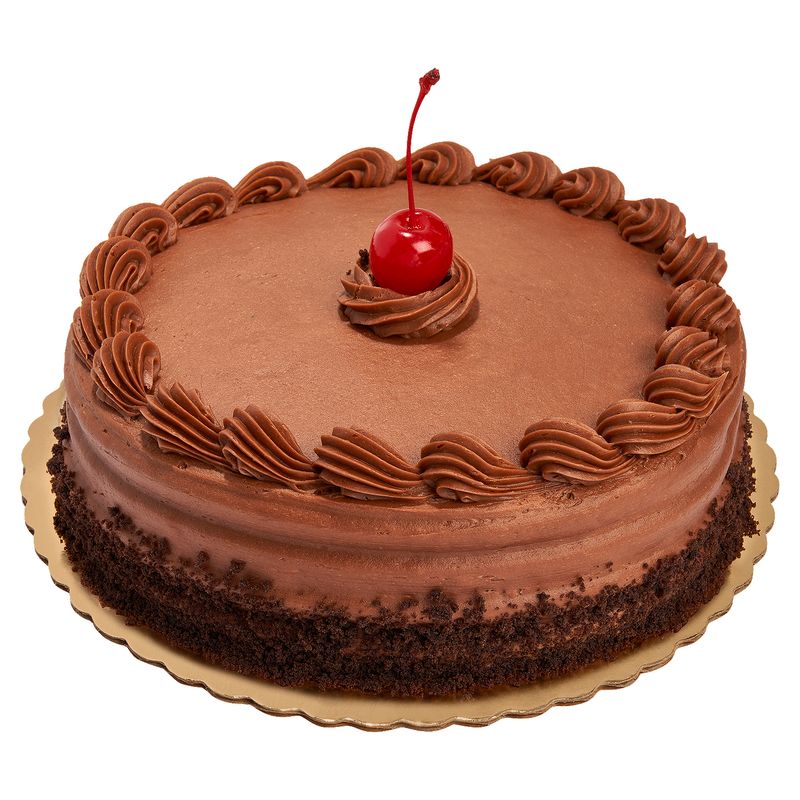 Single Layer Chocolate Cake With Chocolate Icing