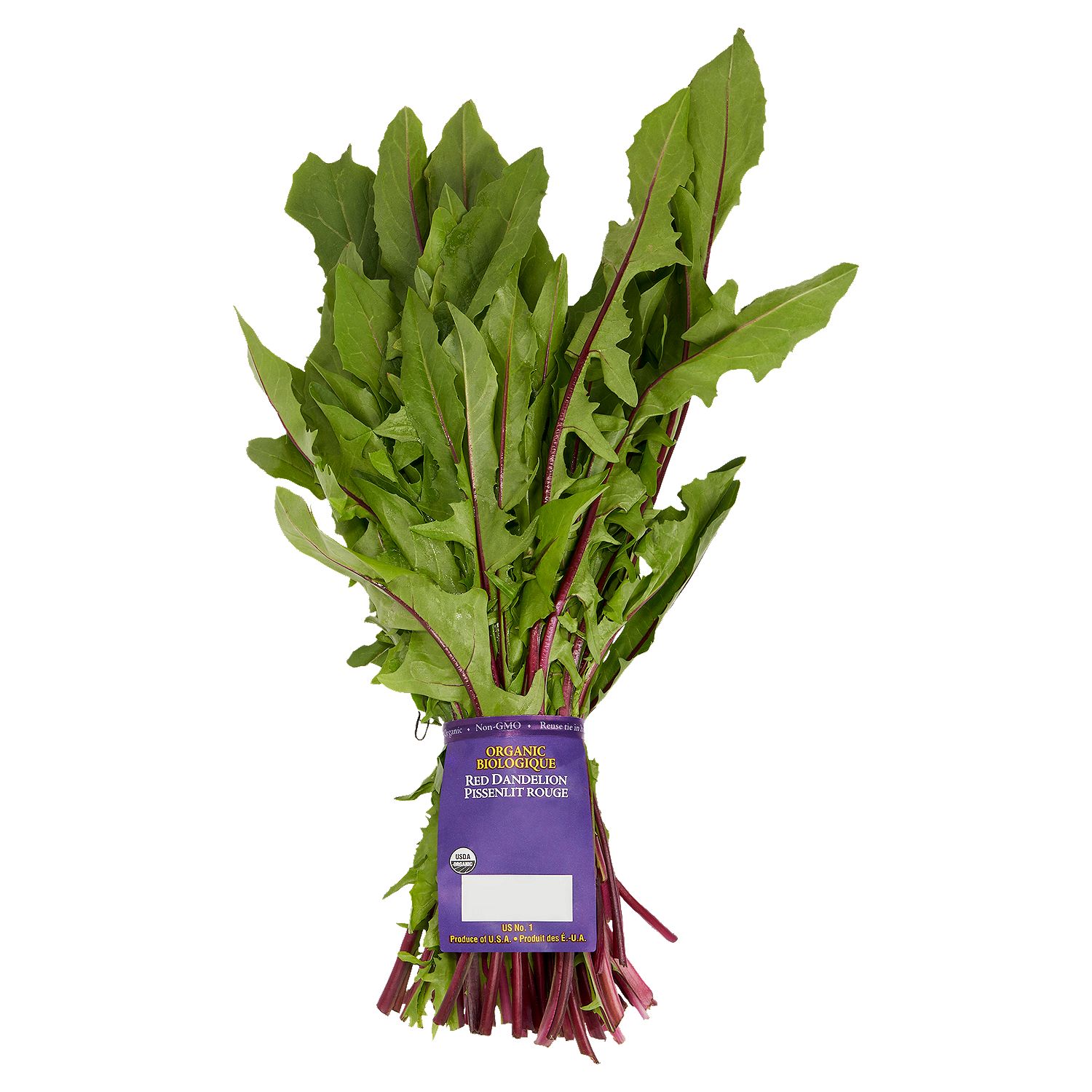 Fresh Organic Red Radishes, bunch