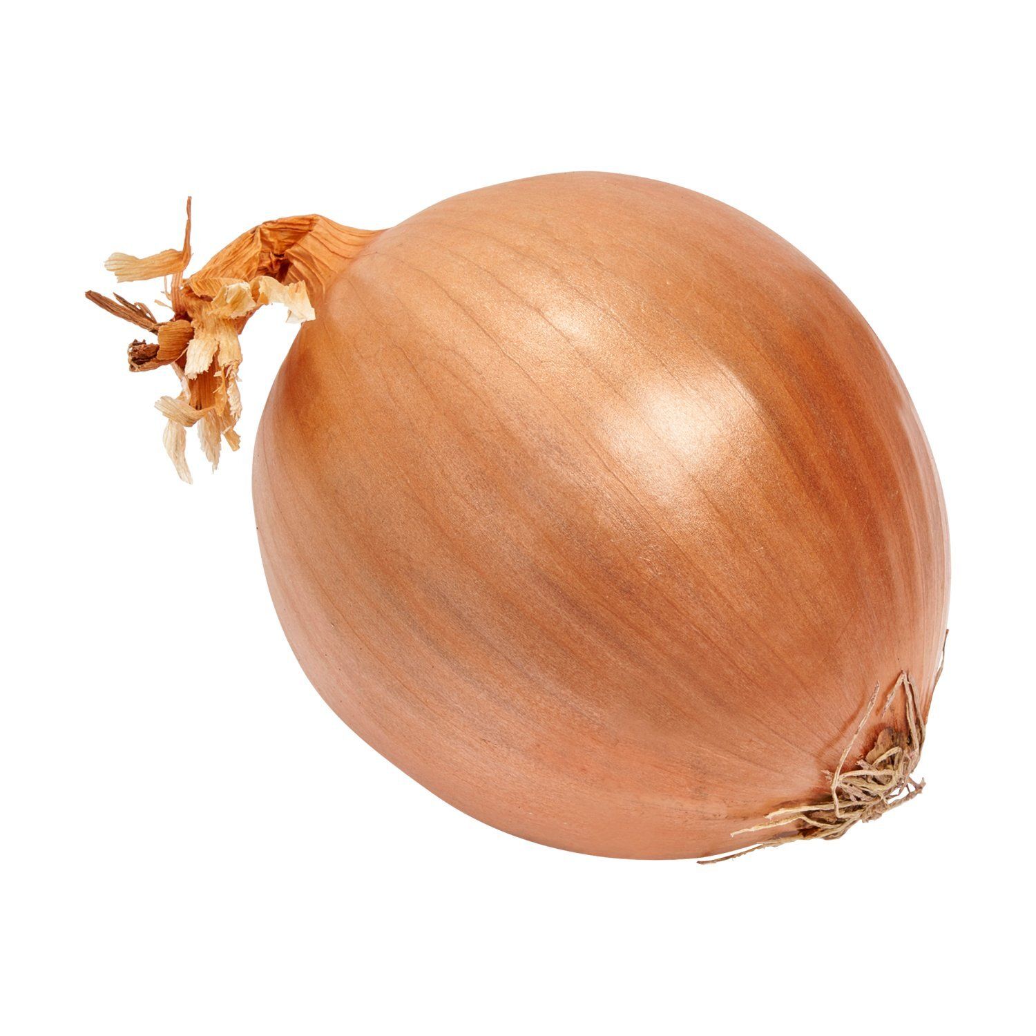 Fresh Yellow Onion