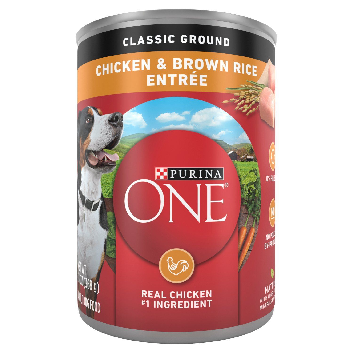 Purina ONE Classic Ground Chicken &amp; Brown Rice Entrée Adult Dog Food, 13 oz