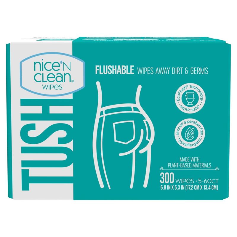 Nice 'n Clean Moist Toilet Tissue 300ct Club Box