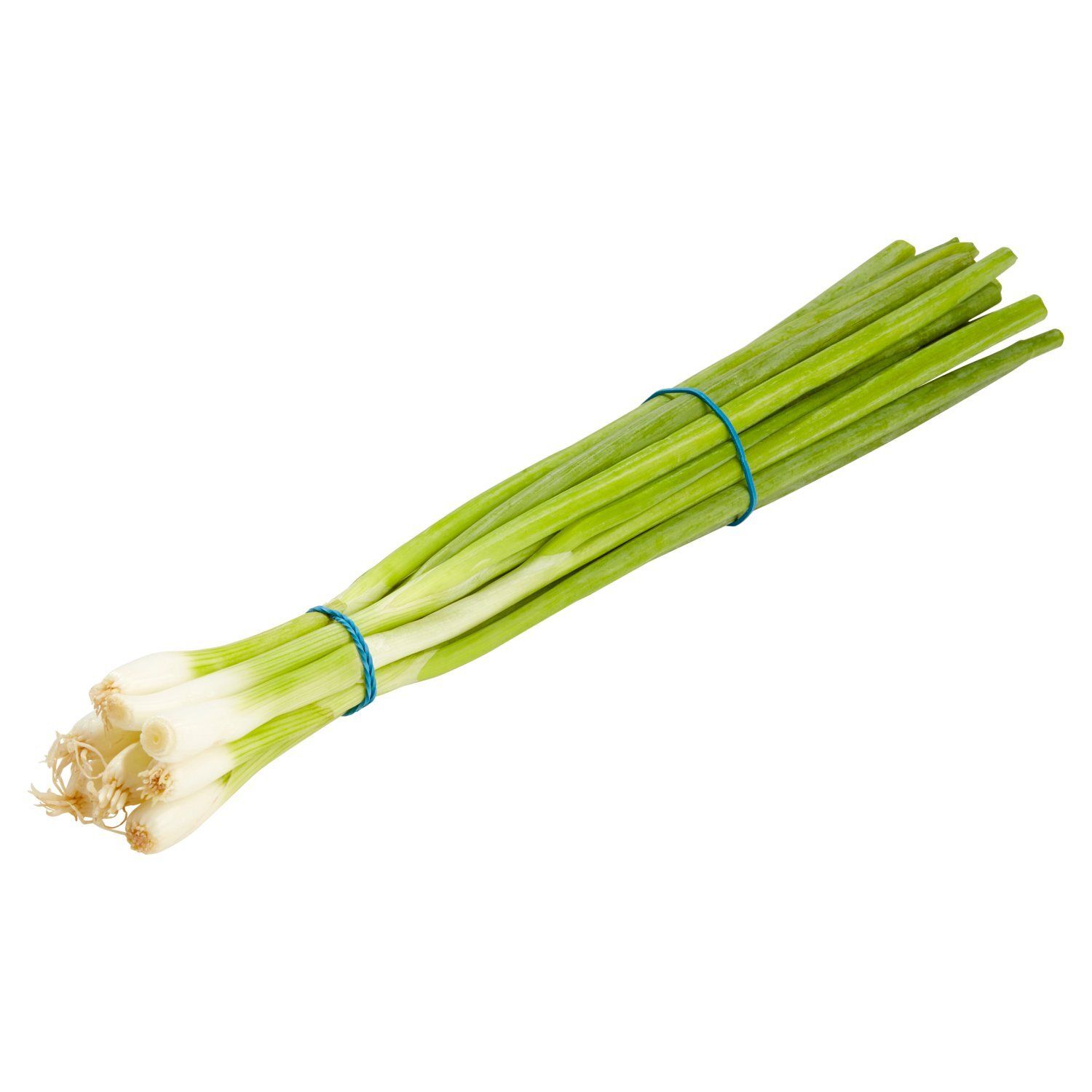 Fresh Green Onions, bunch