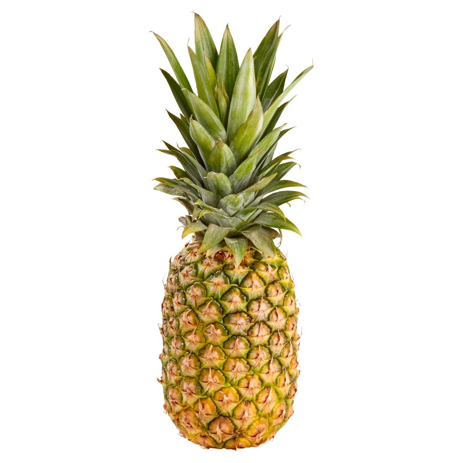 Fresh Golden Pineapple, each