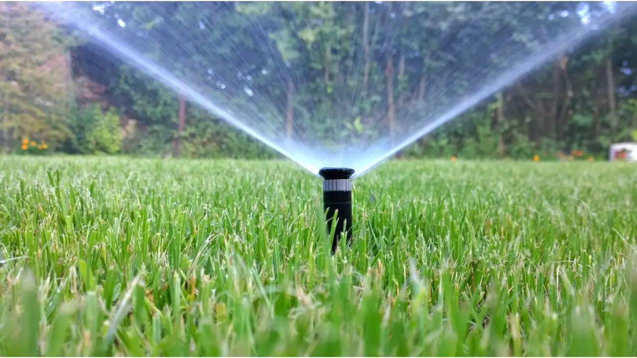 Sprinkler System