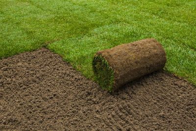 Full Sod