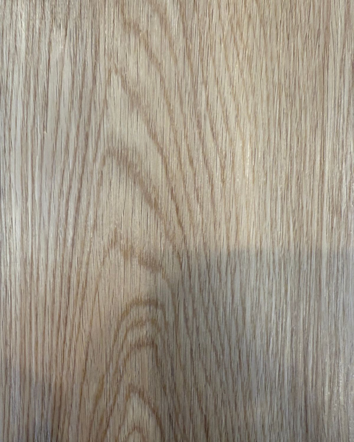 Carolina Hickory