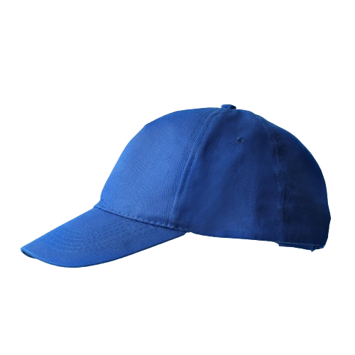 Classic Blue Adjustable Basketball Cap