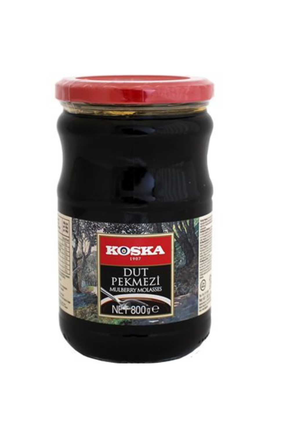 Koksa Mulberry 800G
