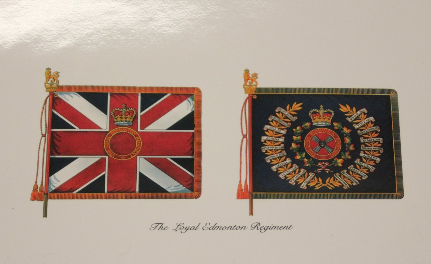 Print - Regimental Colours (Laminated)