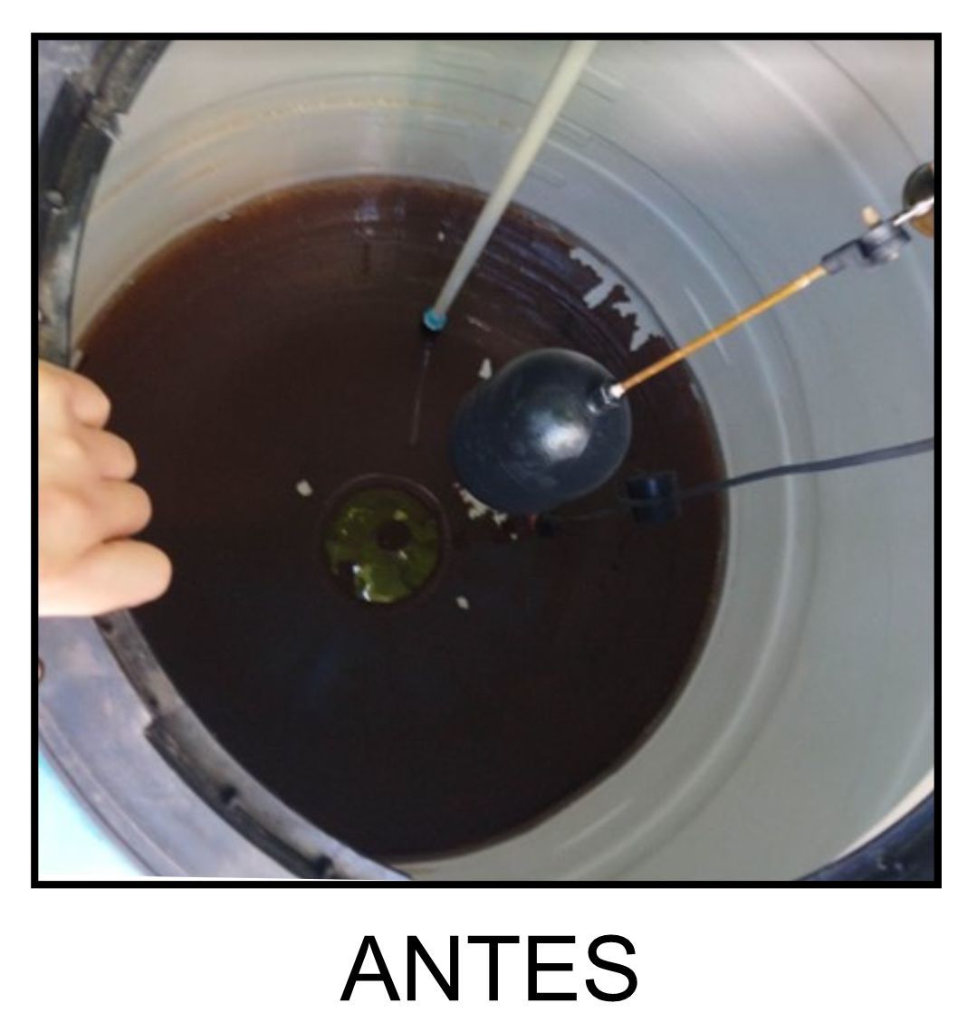 Agua limpia. Lavado y desinfección de tinacos.