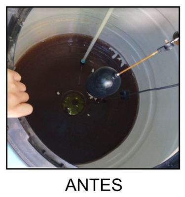 Agua limpia. Lavado y desinfección de tinacos.