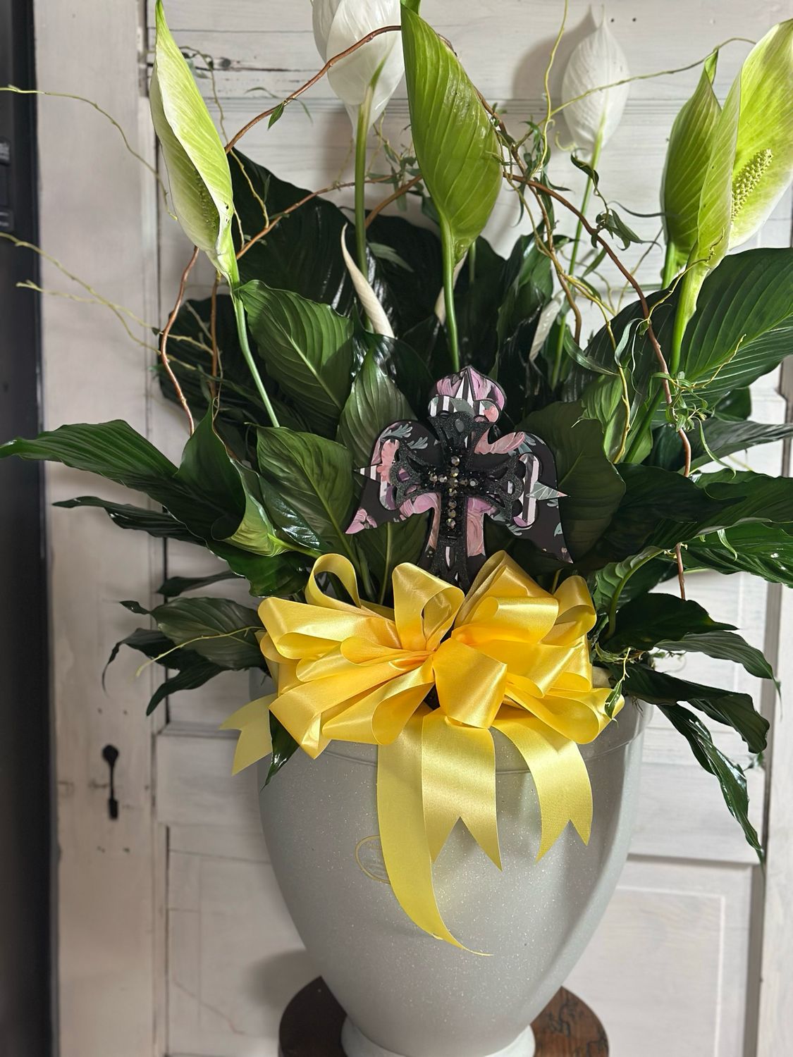 Sympathy Plant #3
