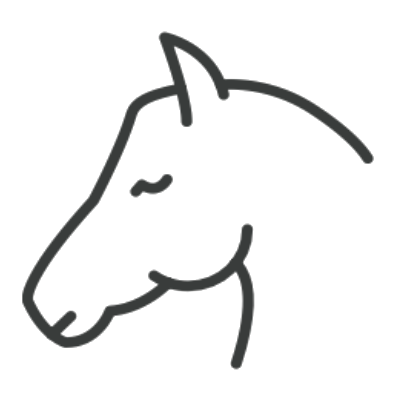 Pferd