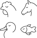 Leckerli