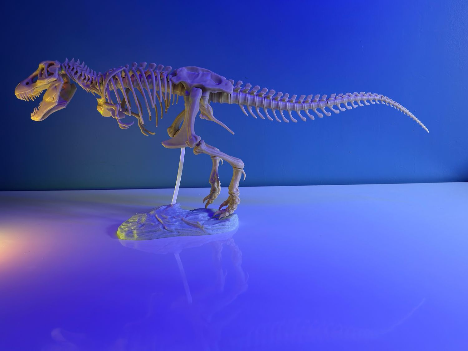 Wielki szkielet T-Rex