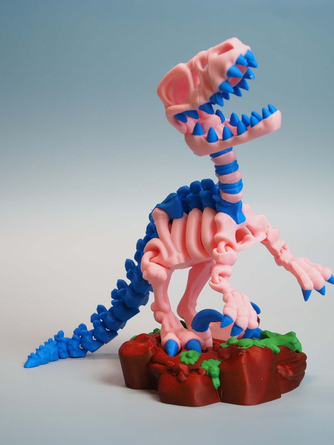 Raptor – zestaw z podstawką