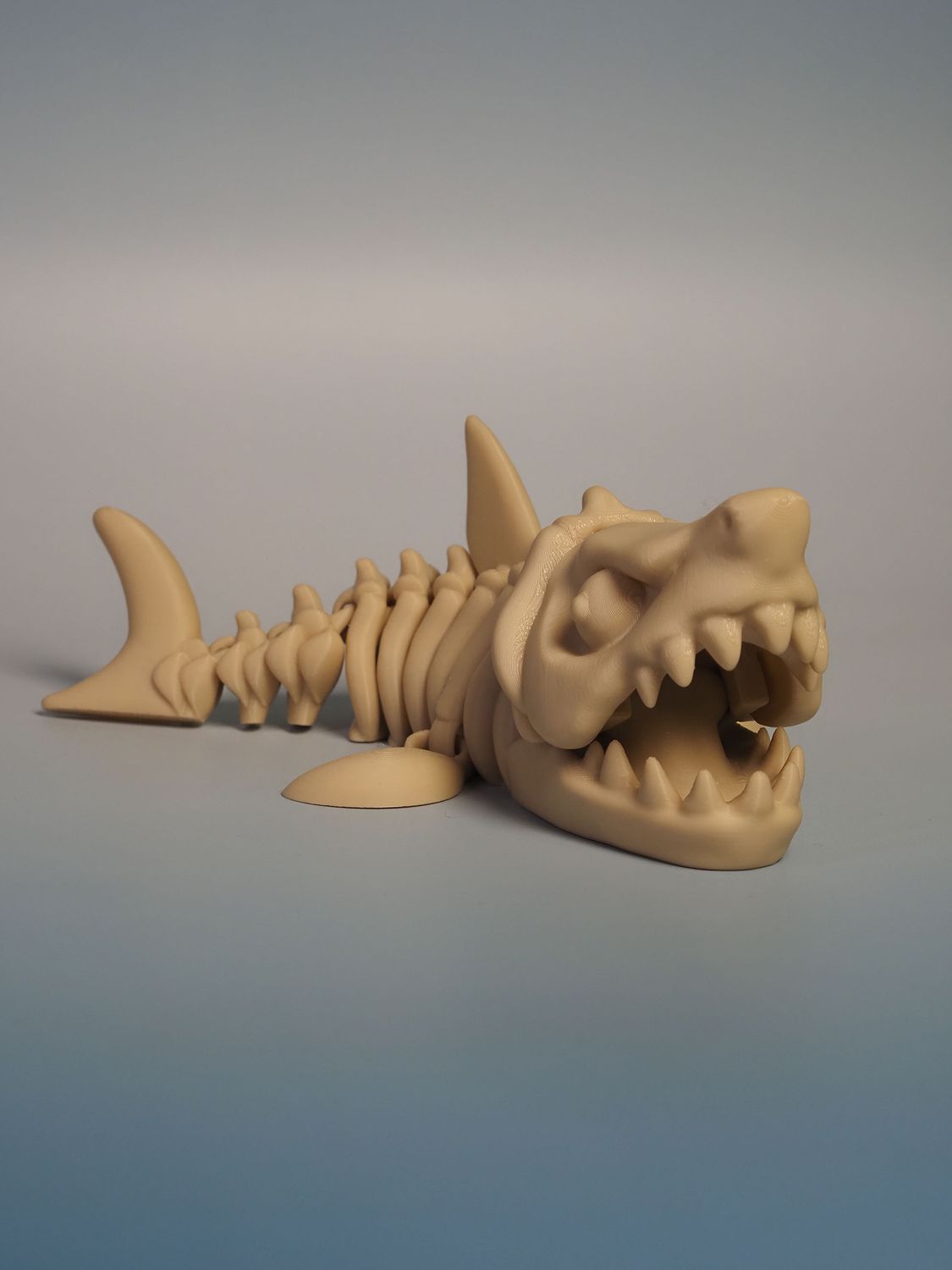 Megalodon - szkielet