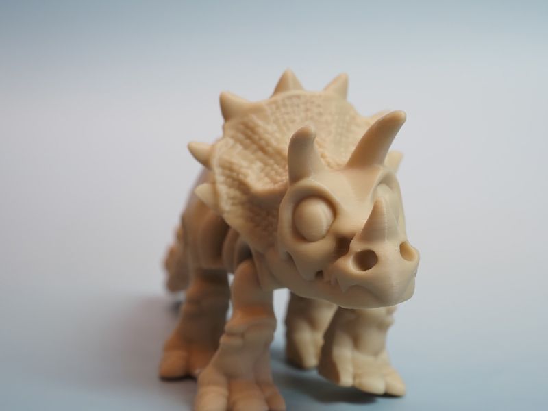 ​Triceratops – Trawożerca 😉