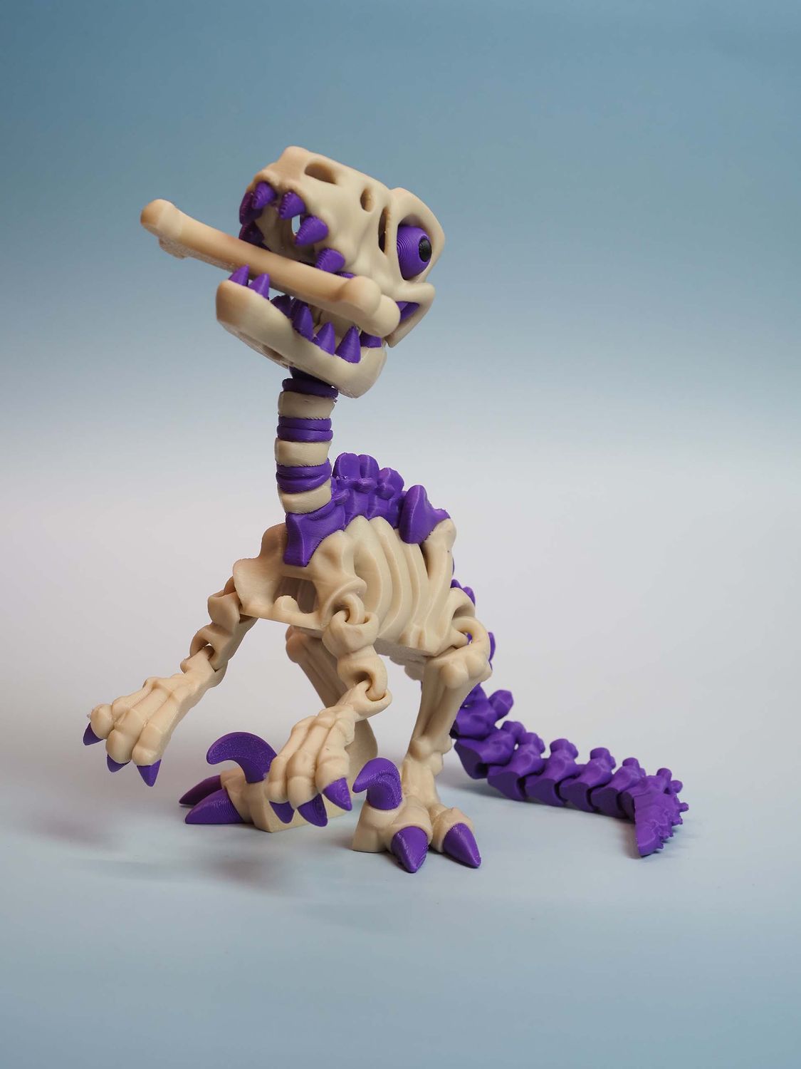 ​Raptor z kością