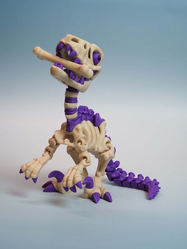 ​Raptor z kością