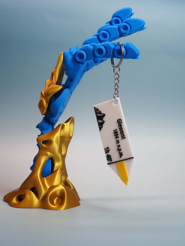 ​Górski drogowskaz z NFC – brelok lokalizacyjny - GIEWONT