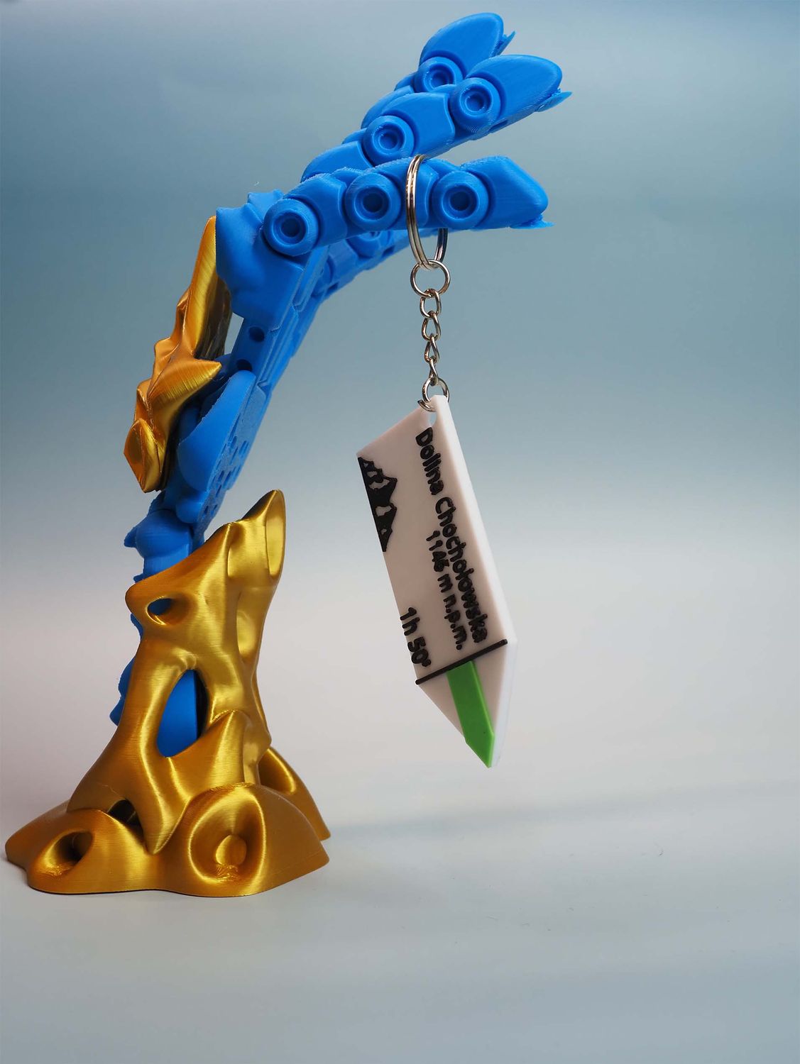 ​Górski drogowskaz z NFC – brelok lokalizacyjny - DOLINA CHOCHOŁOWSKA