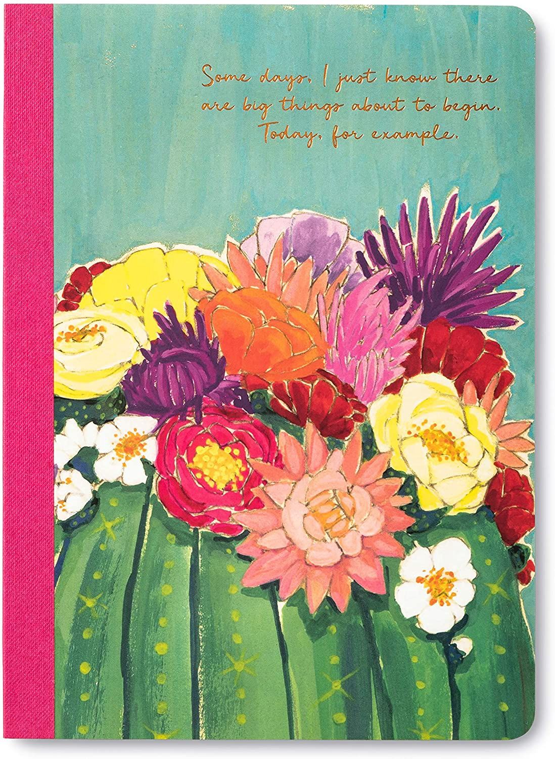 Inspirational Journal - Some Days I Just Know There