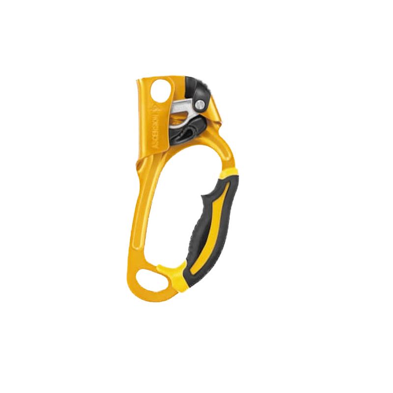 Petzl Ascension