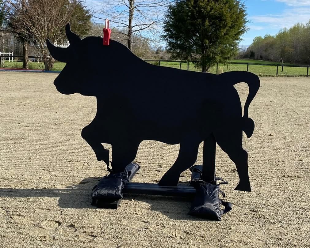 Working Equitation Bull