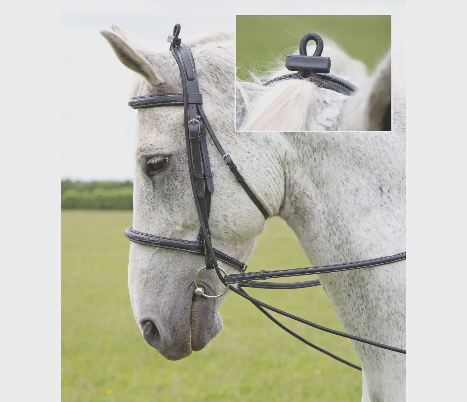 Elastic Training Reins - One Size