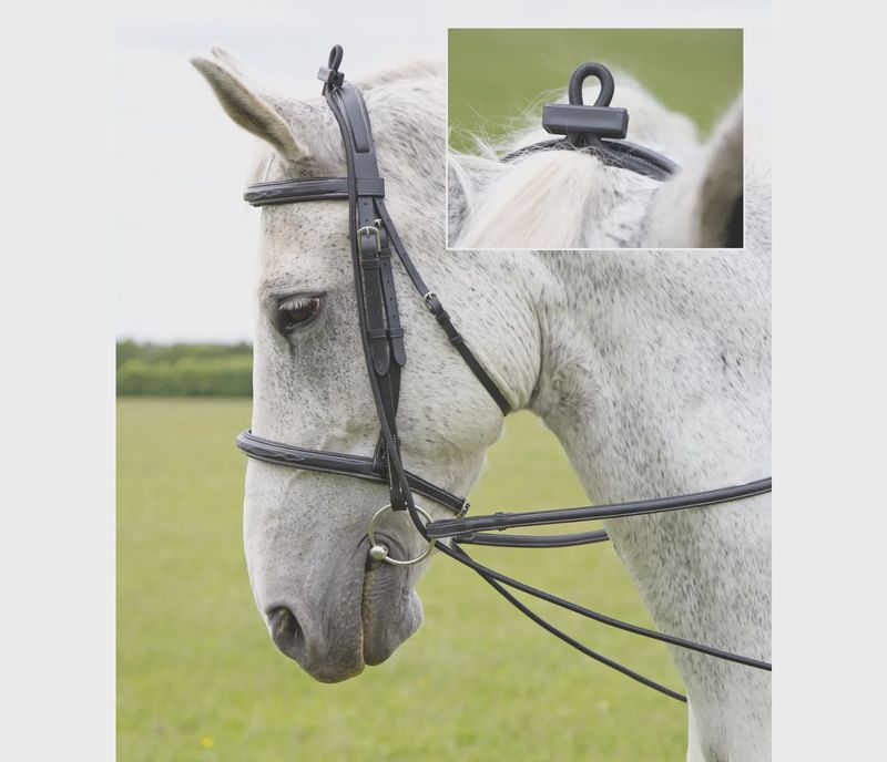 Elastic Training Reins - One Size