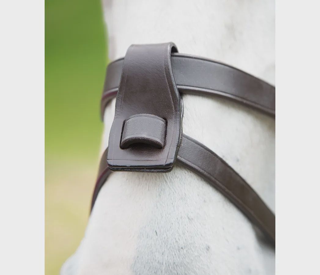 Flash Noseband Attachment - Havana