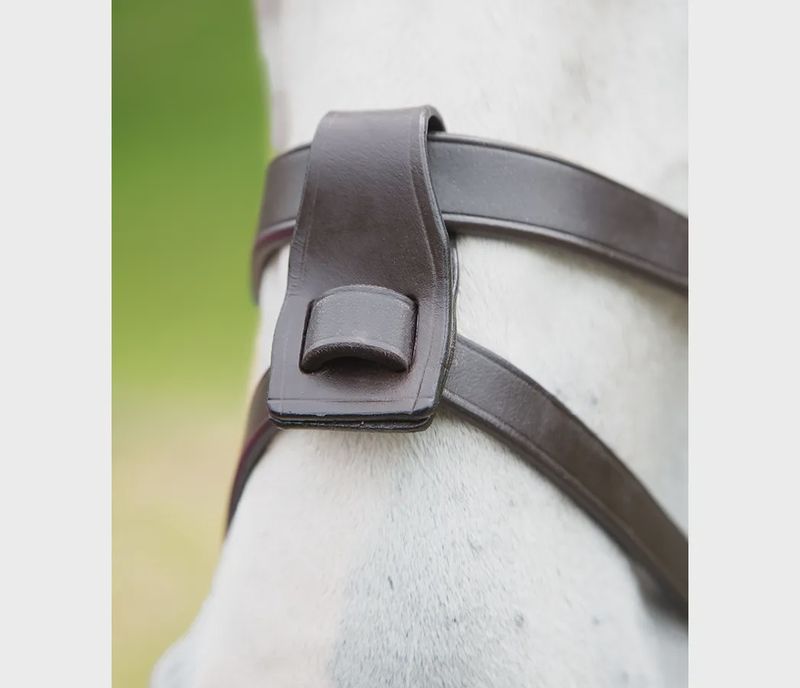 Flash Noseband Attachment - Havana