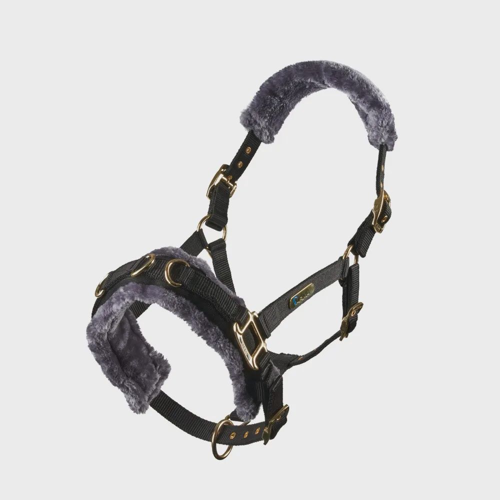 Fleece Lined Lunge Cavesson - Black
