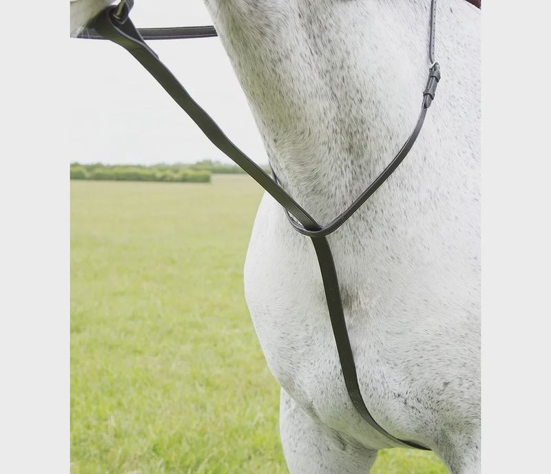 GARA Standing Martingale - Cob - Havana