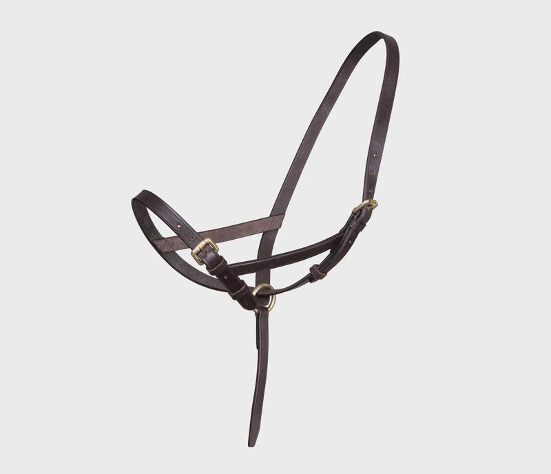 Leather Foal Slip - Havana
