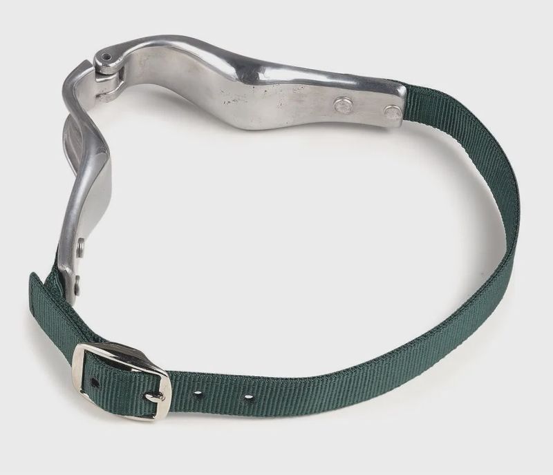 Nylon Cribbing Strap