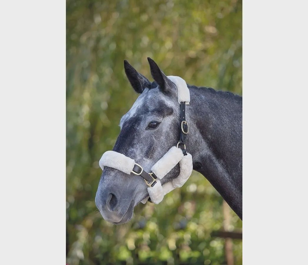 ARMA SupaFleece Halter Fleeces - Set of 6