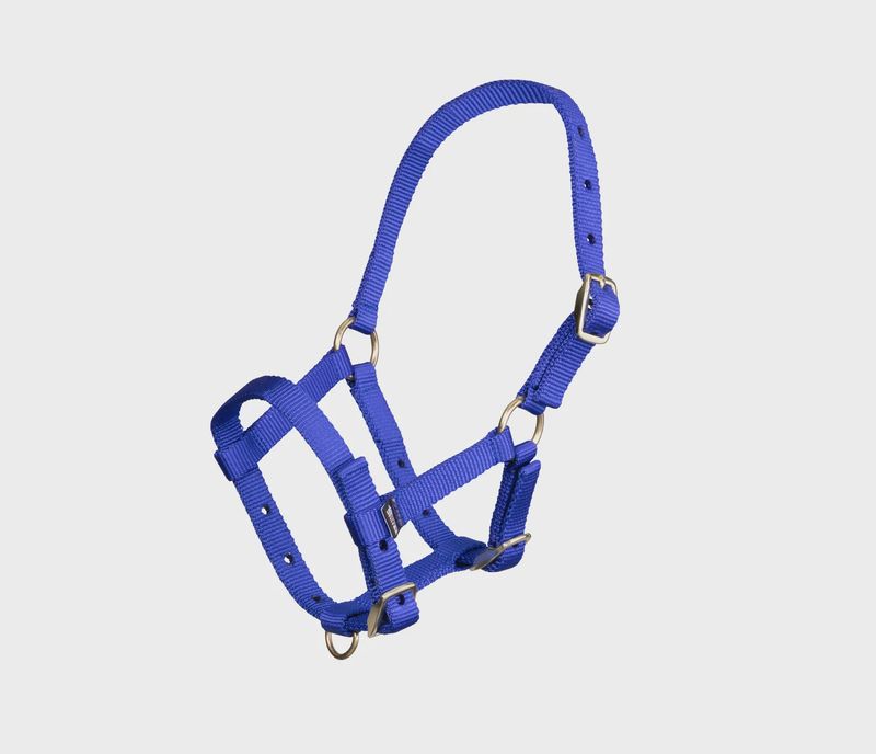 ARMA Foal Headcollar - Nylon - Navy