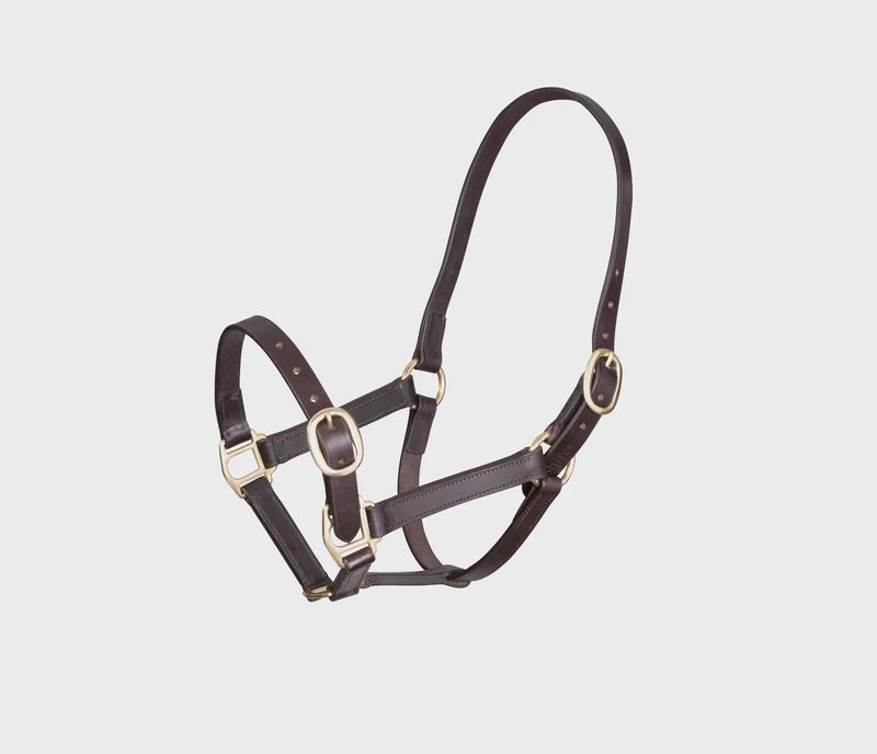 GARA Adjustable Leather Headcollar - Havana