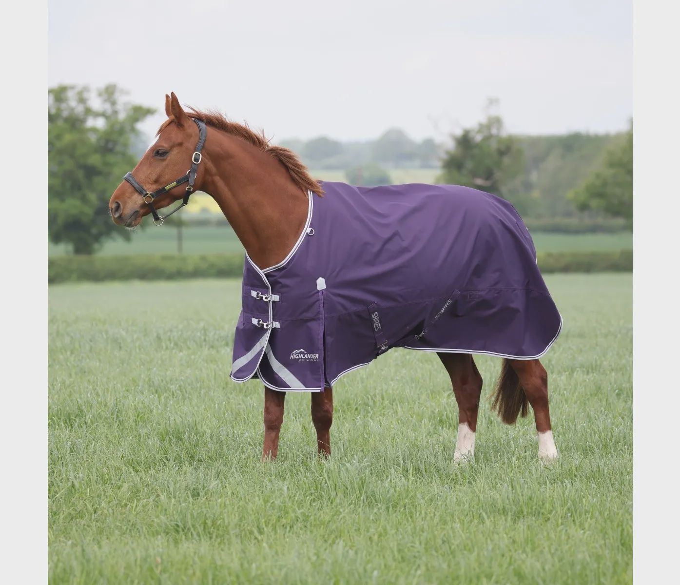 Highlander Original Turnout Rug 100g