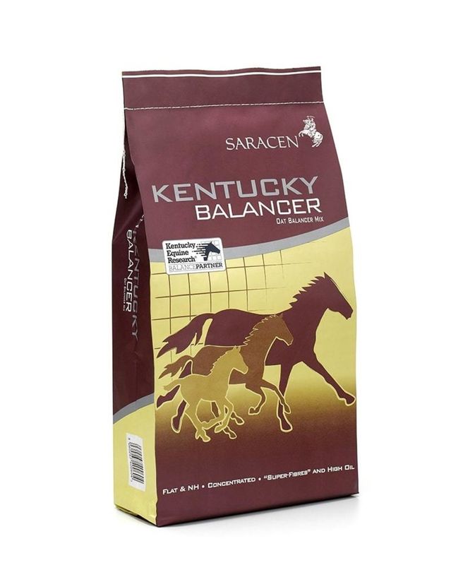 Kentucky Balancer - Saracens - 20kg
